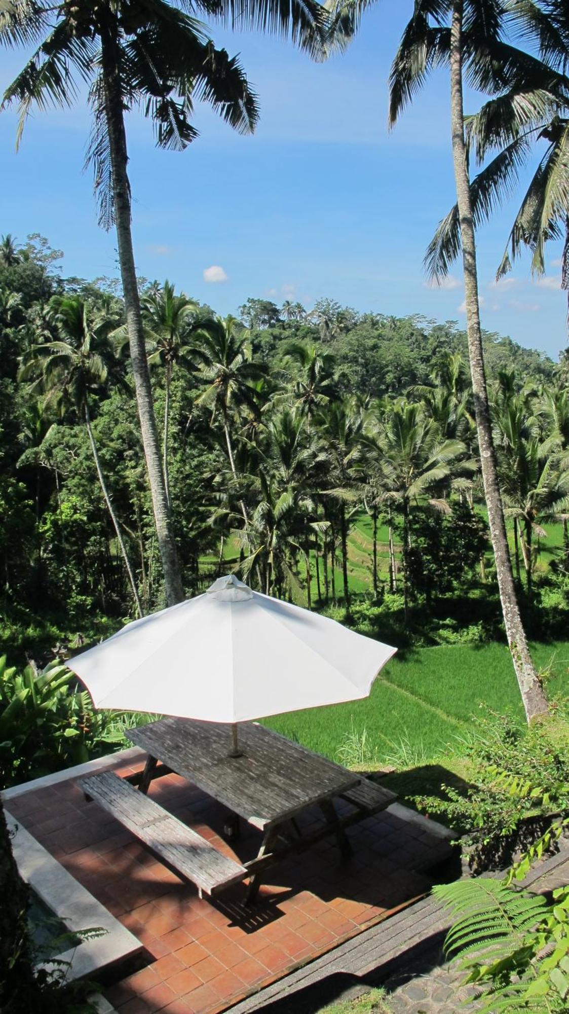 The Papas Villas Tegallalang  Exterior foto